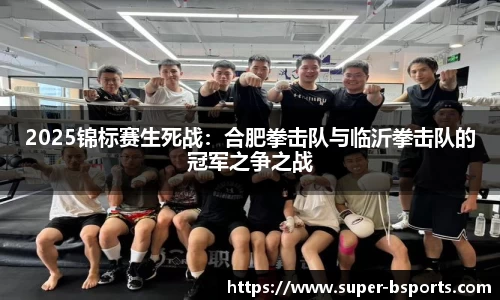 2025锦标赛生死战：合肥拳击队与临沂拳击队的冠军之争之战